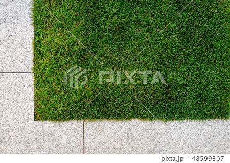 grass and stone pavement grass and stone pavement 48599307
