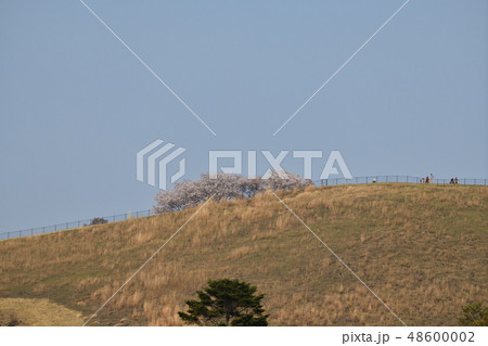 東大寺より 48600002