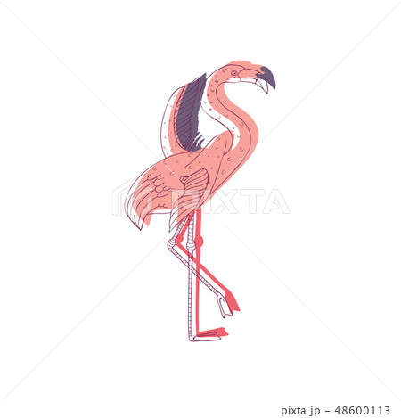 Pink flamingo with wide open wings standing on one leg, side view. Beautiful topical bird. Hand Pink flamingo with wide open wings standing on one leg, side view. Beautiful topical bird. Hand 48600113