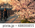 夕日に染まる桜 48600855