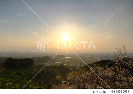 梅と春霞の大和路（奈良県桜井市） 48601098