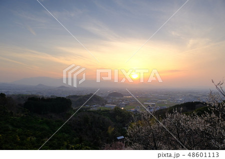 梅と春霞の大和路（奈良県桜井市） 48601113