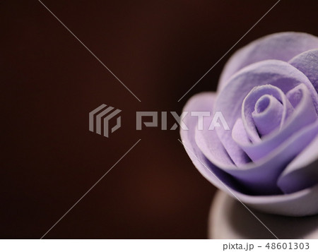 薔薇 48601303