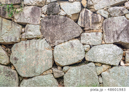 背景素材 萩城石垣 48601983