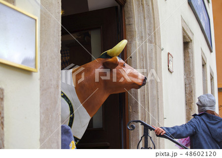 ディスプレイ 陳列 ディスプレー 48602120