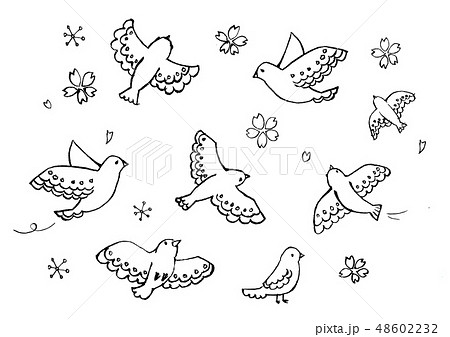 手描きの鳥と桜のイラストのイラスト素材 48602232 Pixta