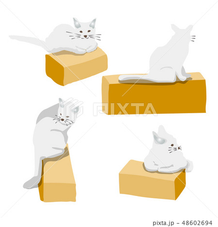 猫の休憩 48602694