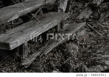 廃墟の入り口 48603951