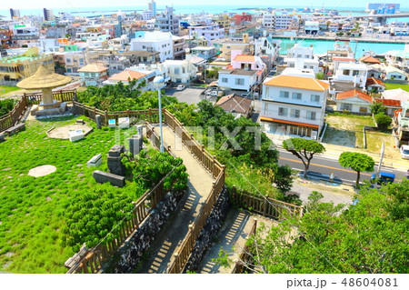 山巓毛　糸満市内 48604081