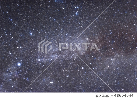 【長野県 阿智村】天の川 48604644