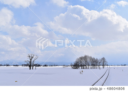 青空の元で雪の中を線路は続く 48604806