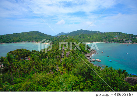 タオ島の風景 48605367