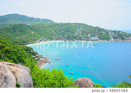 南国の景色 南国の景色 48605368