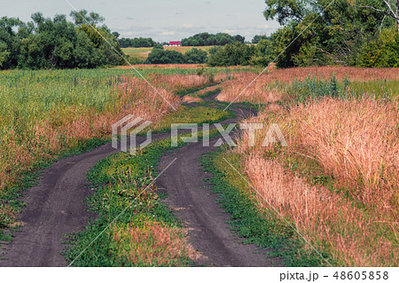 Beautiful nature with road in the steppe. Russia in autumn Beautiful nature with road in the steppe. Russia in autumn 48605858