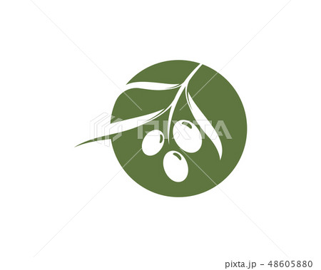 olive icon vector illustration 48605880