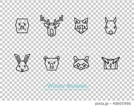 Face Icon Set: Winter Animals 48605998