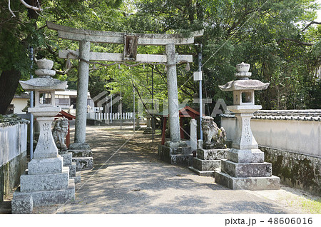 日出神社　出月宮　和歌山 48606016