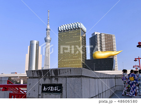 日本の東京都市景観　東京スカイツリーなどを望む 48606580