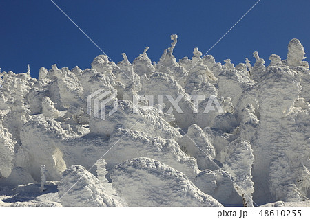 厳冬期の西吾妻山 ( 2月 / 吾妻連峰 ) 厳冬期の西吾妻山 ( 2月 / 吾妻連峰 ) 48610255