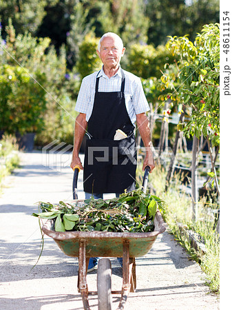 Gardener pushing wheelbarrow 48611154