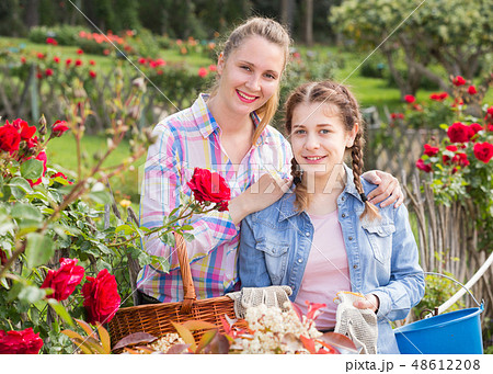 woman and teen holding a basket and standing in the park of roses. 48612208
