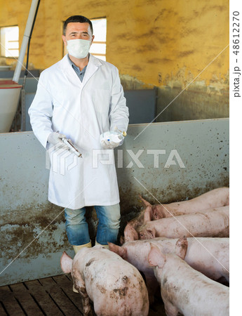 Man veterinarian holding syringe and bottle Man veterinarian holding syringe and bottle 48612270