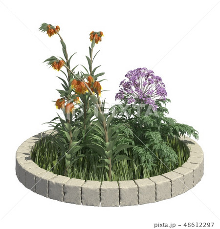 Bush 3d illustration isolated on the white background Bush 3d illustration isolated on the white background 48612297