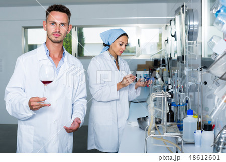 Attentive glad man testing wine qualities 48612601