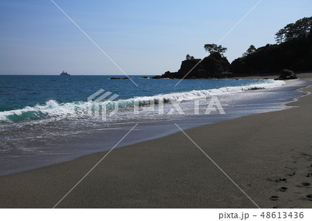 高知桂浜 高知桂浜 48613436