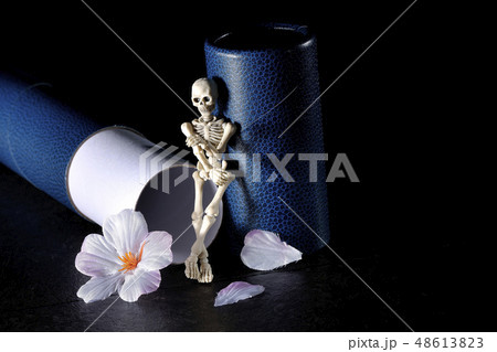 偉そうに留年を語る 48613823