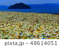 ガラスの砂浜 48614051