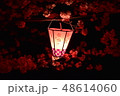 夜桜を灯すランタン 48614060