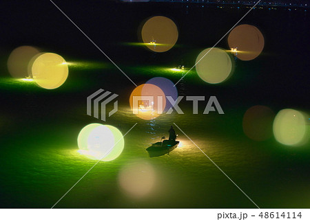 シラスウナギ漁 吉野川 シラスウナギ漁 吉野川 48614114