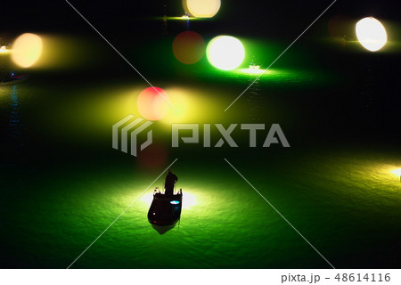 シラスウナギ漁 吉野川 シラスウナギ漁 吉野川 48614116