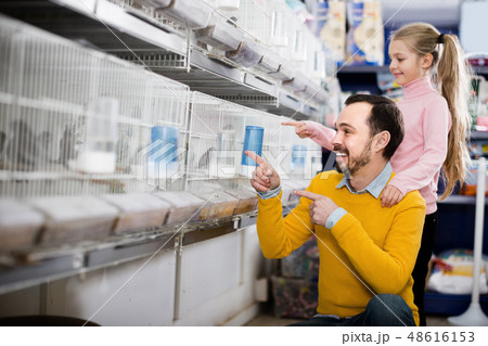 Father and girl deciding on best bird to keep Father and girl deciding on best bird to keep 48616153