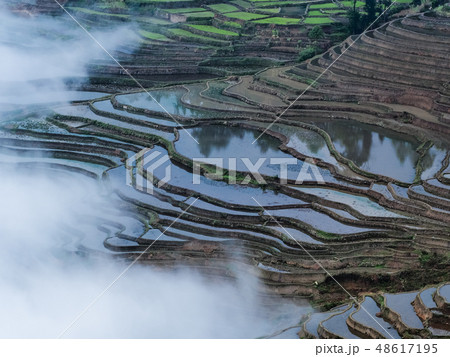 中国雲南省元陽・ 多依樹棚田 / Duoyishu Rice Terraces, Yuanyang 中国雲南省元陽・ 多依樹棚田 / Duoyishu Rice Terraces, Yuanyang 48617195