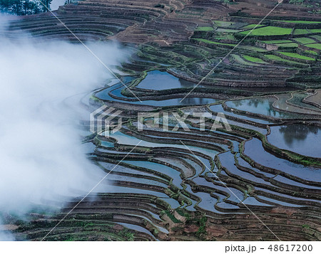 中国雲南省元陽・ 多依樹棚田 / Duoyishu Rice Terraces, Yuanyang 48617200