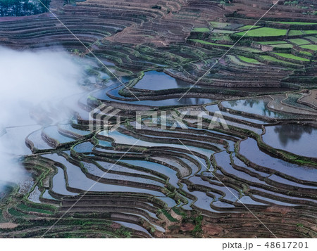 中国雲南省元陽・ 多依樹棚田 / Duoyishu Rice Terraces, Yuanyang 中国雲南省元陽・ 多依樹棚田 / Duoyishu Rice Terraces, Yuanyang 48617201