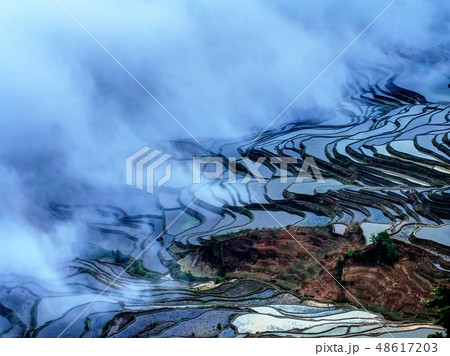 中国雲南省元陽・ 多依樹棚田 / Duoyishu Rice Terraces, Yuanyang 48617203