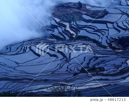 中国雲南省元陽・ 多依樹棚田 / Duoyishu Rice Terraces, Yuanyang 48617213