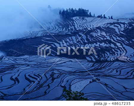 中国雲南省元陽・ 多依樹棚田 / Duoyishu Rice Terraces, Yuanyang 48617235