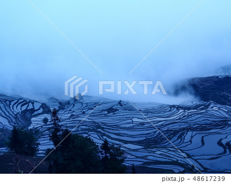 中国雲南省元陽・ 多依樹棚田 / Duoyishu Rice Terraces, Yuanyang 中国雲南省元陽・ 多依樹棚田 / Duoyishu Rice Terraces, Yuanyang 48617239