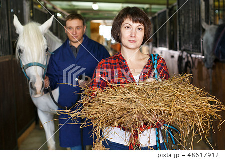 Couple of farmers feeding horses Couple of farmers feeding horses 48617912