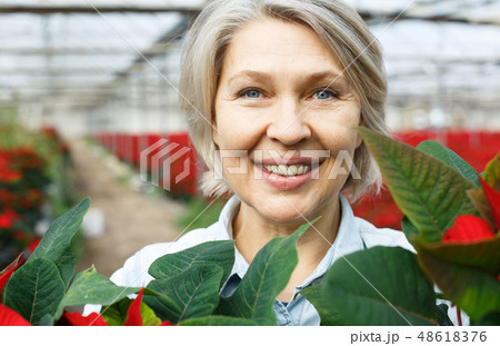 Closeup portrait of female florist with poinsettia 48618376