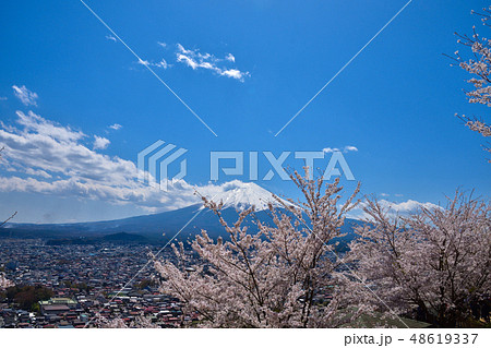山梨 新倉山浅間公園の桜と富士山 山梨 新倉山浅間公園の桜と富士山 48619337