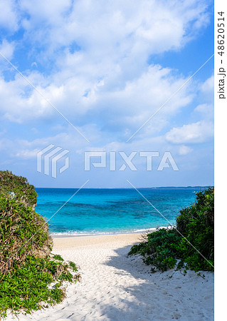 砂山ビーチ 48620514