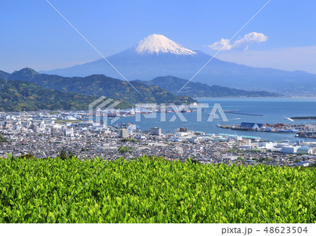 日本平からの風景-8737 48623504