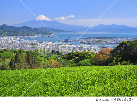 日本平からの風景-8739 48623507