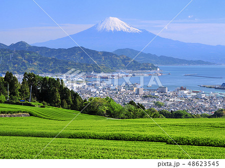日本平からの風景-8706 48623545
