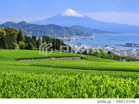 日本平からの風景-8708 日本平からの風景-8708 48623546